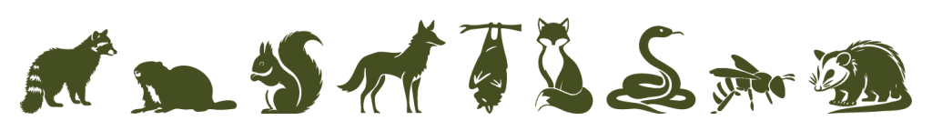 Wildlife Management Services and Wildlife Control