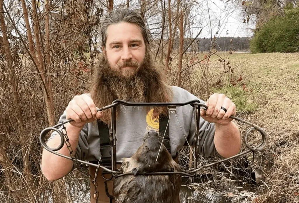 Kyle Sanborn Removes Beaver from a beaver dam for wildlife management